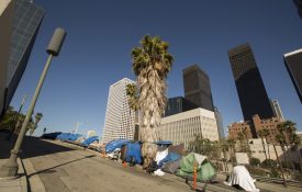 3. Addiction to Wealth and Power