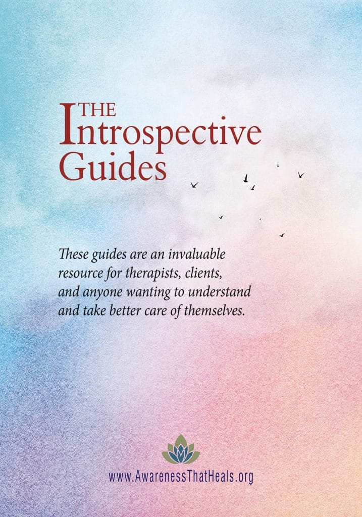 Introspective Guides - Cover Introspective Guides - Cover